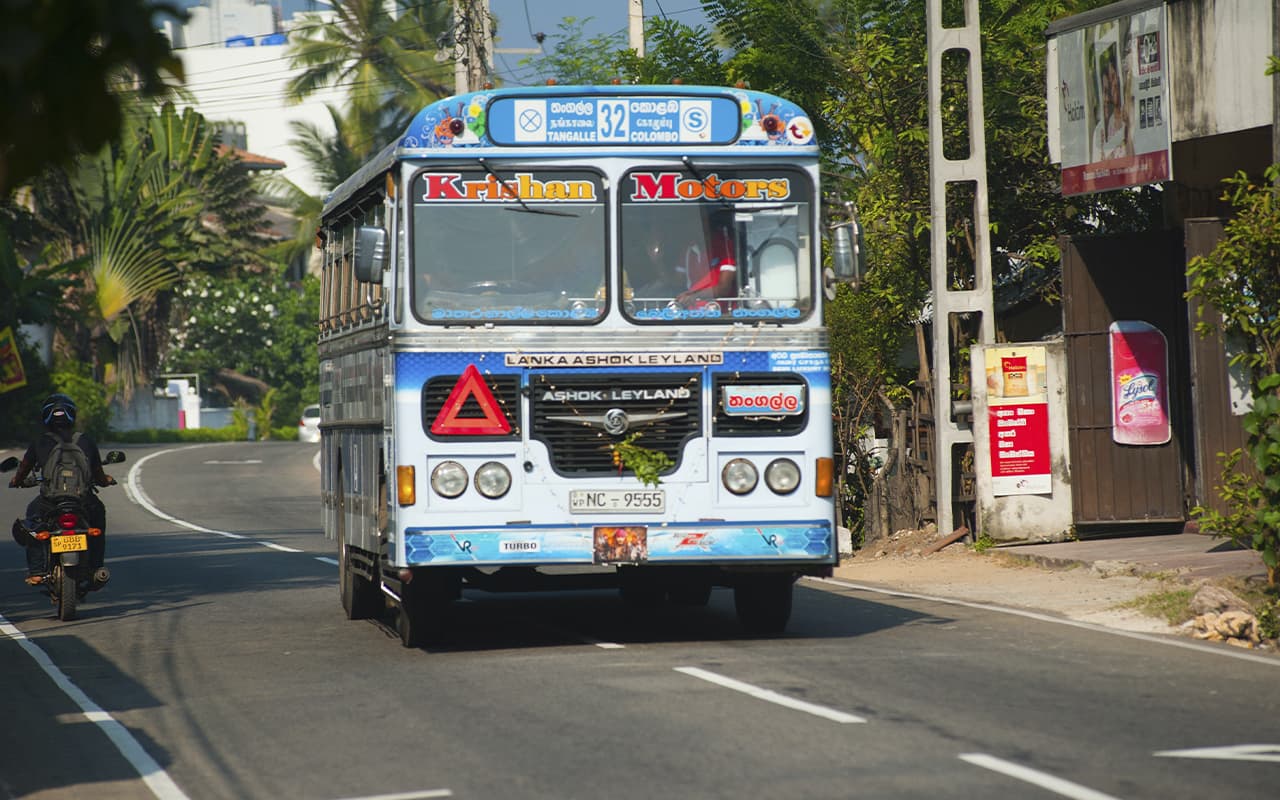 Other city buses